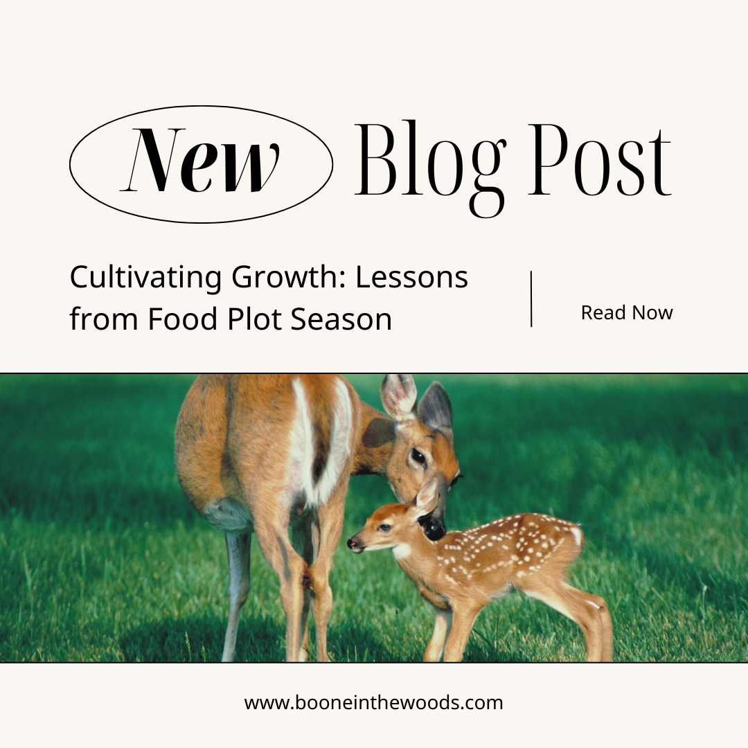 Cultivating Growth: Lessons from Food Plot Season